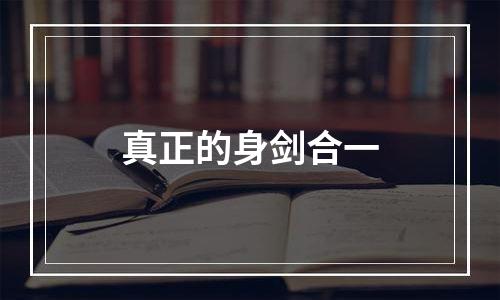 真正的身剑合一