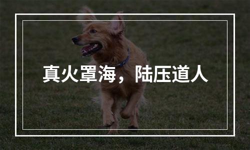 真火罩海，陆压道人