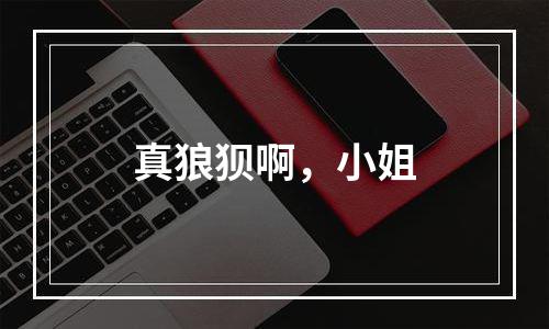 真狼狈啊，小姐