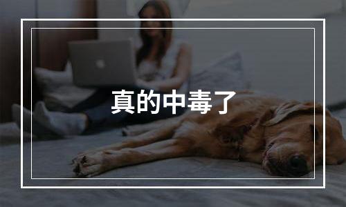 真的中毒了
