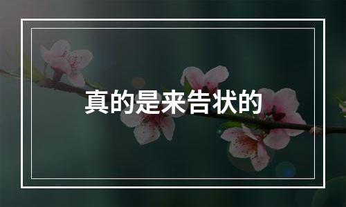真的是来告状的