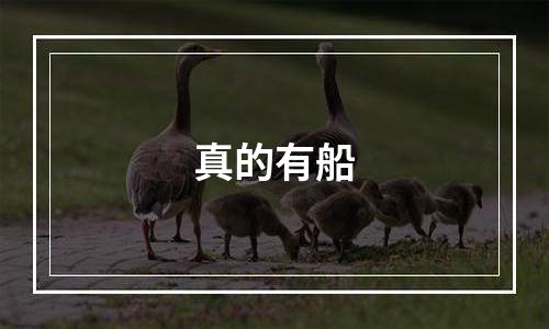 真的有船