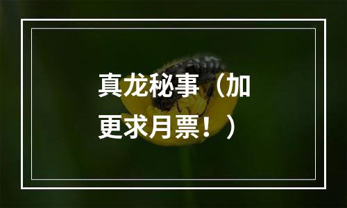 真龙秘事（加更求月票！）