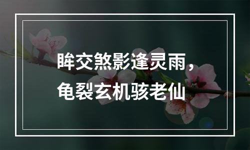 眸交煞影逢灵雨，龟裂玄机骇老仙