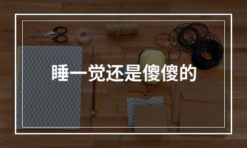 睡一觉还是傻傻的