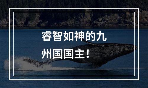 睿智如神的九州国国主！