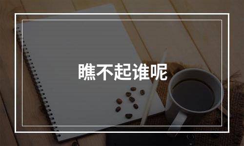 瞧不起谁呢