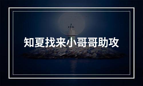 知夏找来小哥哥助攻