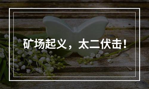 矿场起义，太二伏击！
