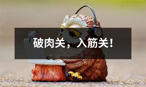 破肉关，入筋关！