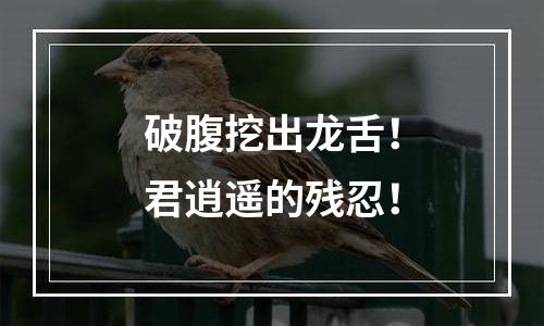 破腹挖出龙舌！君逍遥的残忍！