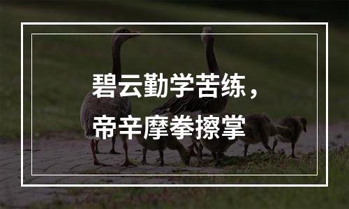 碧云勤学苦练，帝辛摩拳擦掌