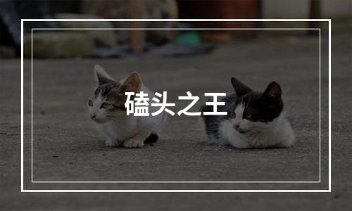 磕头之王