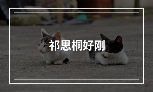 祁思桐好刚