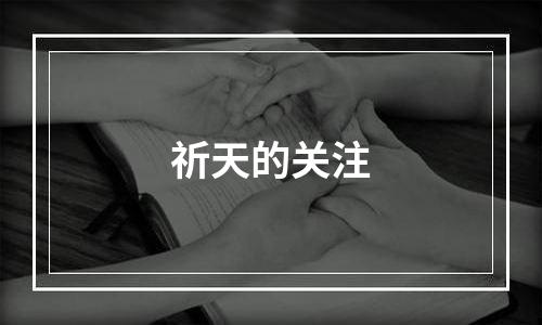 祈天的关注