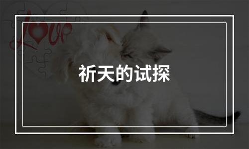 祈天的试探
