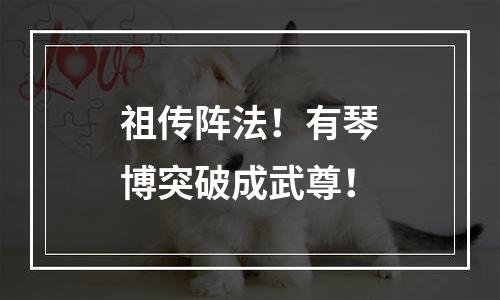 祖传阵法！有琴博突破成武尊！