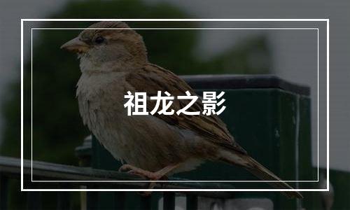 祖龙之影