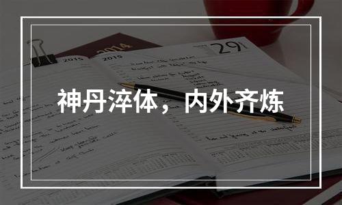 神丹淬体，内外齐炼