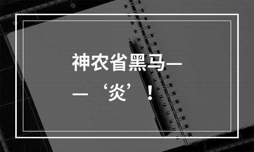 神农省黑马——‘炎’！