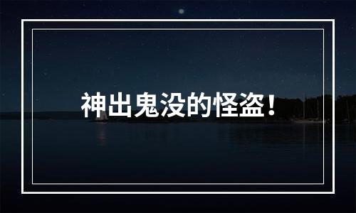 神出鬼没的怪盗！