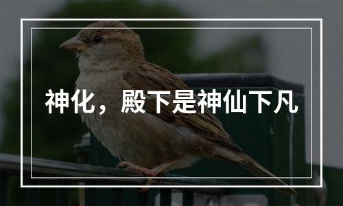 神化，殿下是神仙下凡