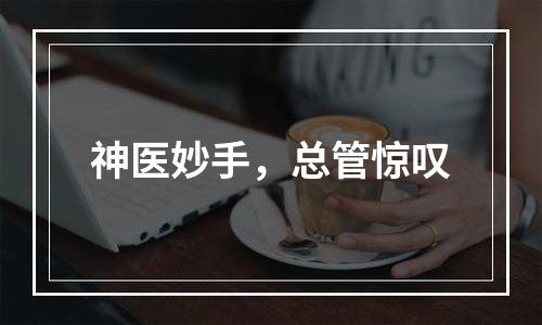 神医妙手，总管惊叹