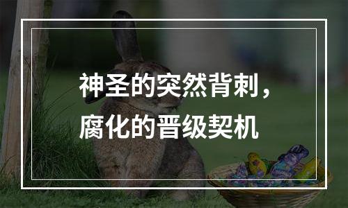 神圣的突然背刺，腐化的晋级契机