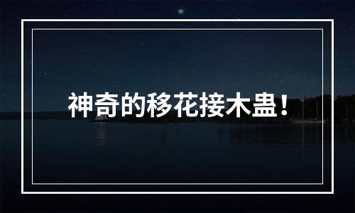 神奇的移花接木蛊！
