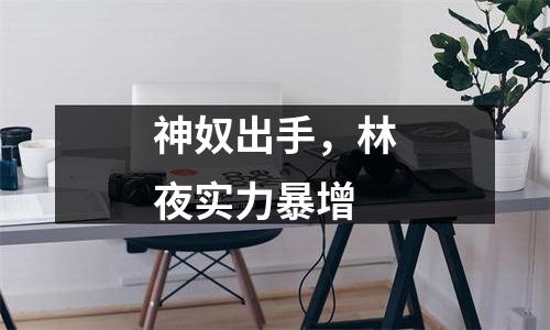 神奴出手，林夜实力暴增