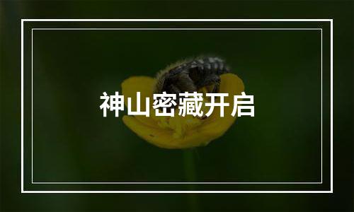 神山密藏开启