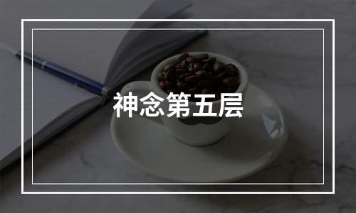 神念第五层