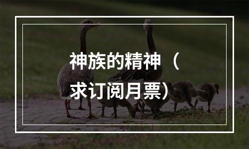 神族的精神（求订阅月票）
