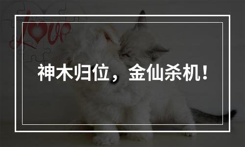神木归位，金仙杀机！