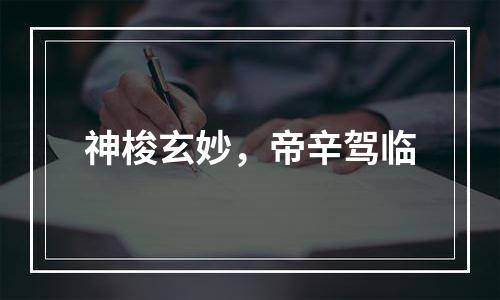神梭玄妙，帝辛驾临
