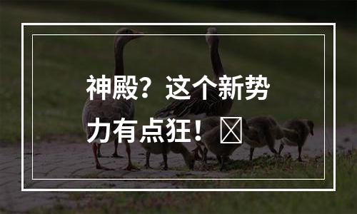 神殿？这个新势力有点狂！​