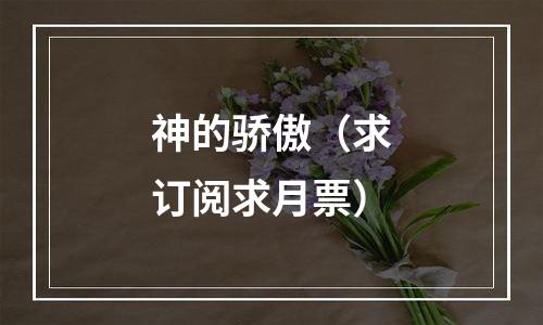 神的骄傲（求订阅求月票）