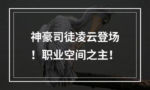 神豪司徒凌云登场！职业空间之主！