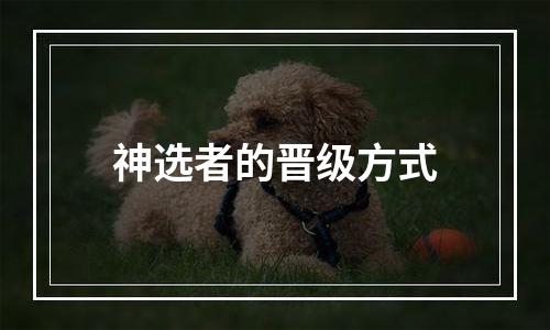 神选者的晋级方式