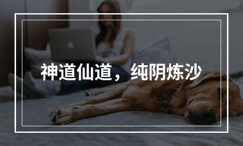 神道仙道，纯阴炼沙