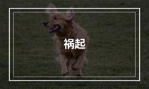 祸起