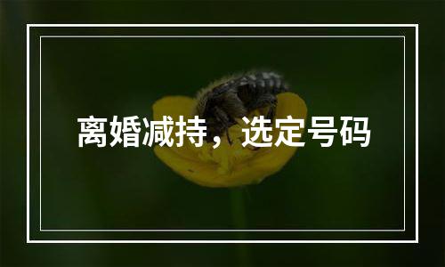 离婚减持，选定号码