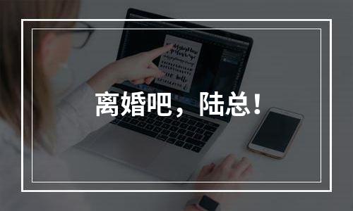 离婚吧，陆总！