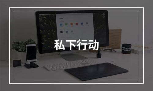 私下行动