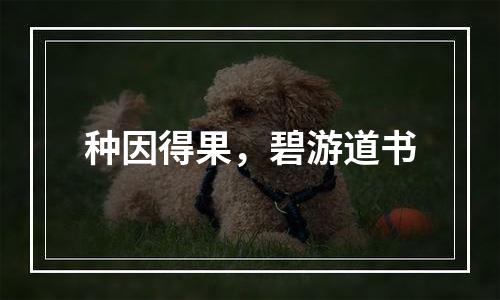 种因得果，碧游道书