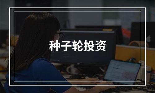 种子轮投资