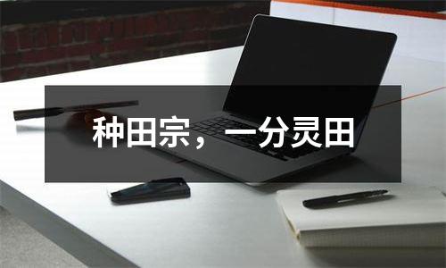 种田宗，一分灵田
