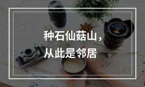 种石仙菇山，从此是邻居
