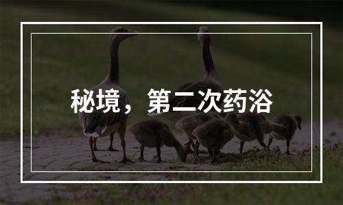 秘境，第二次药浴