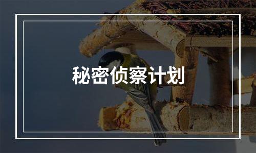秘密侦察计划